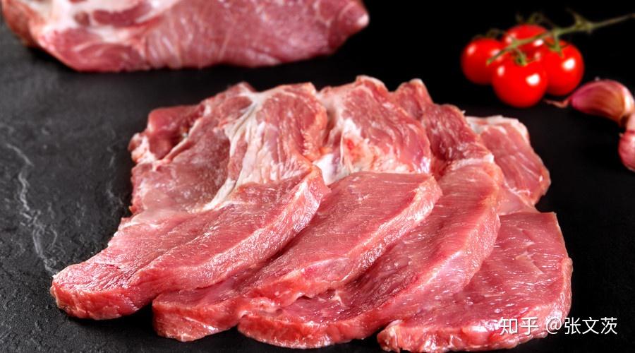 name “鱼翅自由”的代价:多条大青鲨命丧黄泉,走私者终落网!