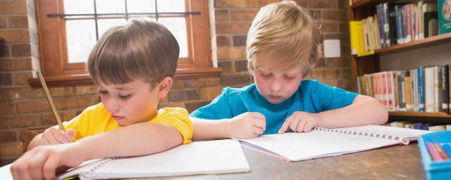 name 一杯海丰莲花山茶,尝尽山野芳香