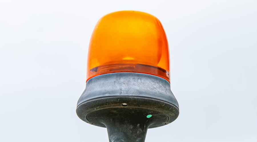 name 八月的“梅”好时光,从一颗伽师新梅开始